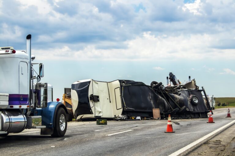 Accidentes de transporte: cómo sobrevivir en el desierto, la selva y el hielo